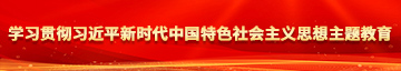 强奸sss天堂网啊啊啊sss学习贯彻习近平新时代中国特色社会主义思想主题教育